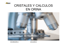 ATLAS DE CRISTALES Y CALCULOS URINARIOS