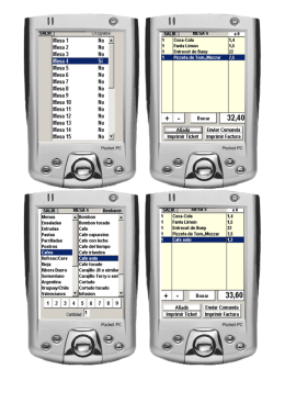 Microsoft Word - pantallas_pda.doc
