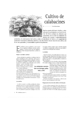 Cultivo de calabacines