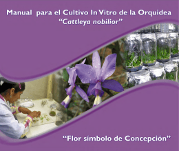 Manual para el cultivo in vitro de la orquídea "Cattleya nobilior"