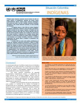 Situación Colombia: Pueblos indígenas (2012)