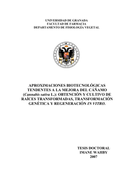 APROXIMACIONES BIOTECNOLÓGICAS TENDENTES A LA