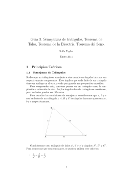 Gu´ıa 3. Semejanzas de triángulos, Teorema de Tales, Teorema de