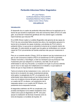 Peritonitis Infecciosa Felina: Diagnóstico
