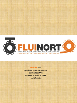 Fluinort Ltda