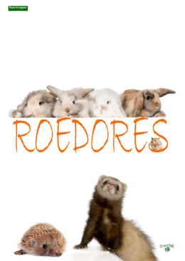 Catálogo Roedores - clinicaveterinariakanes.com