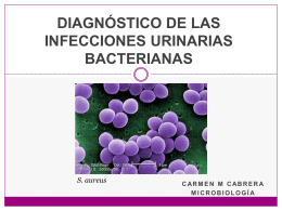 Infecciones Urinarias Bacterianas