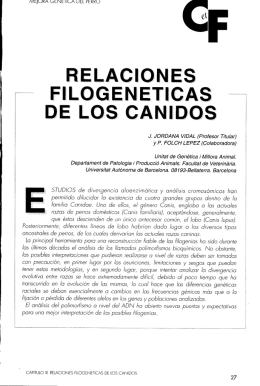 +« de los canidos