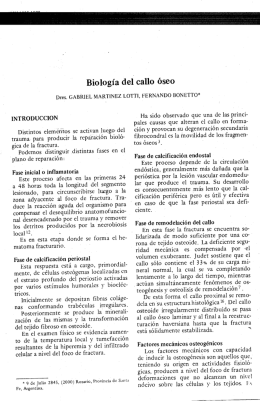 Biología del callo óseo
