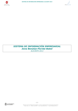 SISTEMA DE INFORMACIÓN EMPRESARIAL Zona Benalúa