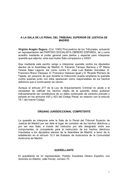 A LA SALA DE LO PENAL DEL TRIBUNAL SUPERIOR