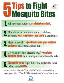 5 Tips to Fight Mosquito Bites Flyer