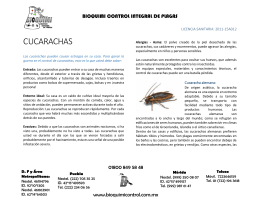 CUCARACHAS - Bioquimi Control Integral de Plagas