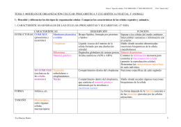 tema 5: modelos de organización celular: procariótica y eucariótica