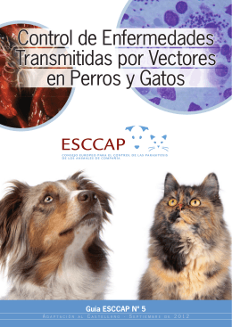 Control de enfermedades transmitidas por Vectores en perros y Gatos