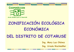 Zonificación ecológica económica del distrito de Cotaruse