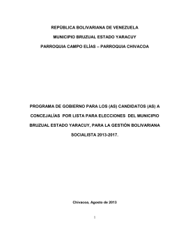 Programa de Gestión - Consejo Nacional Electoral