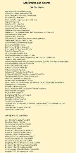 2006 SMR Points and Awards Earners