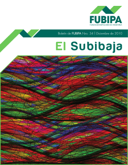 El Subibaja - Fundación Bipolar de Argentina