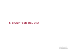 5. BIOSINTESIS DEL DNA - OCW Usal