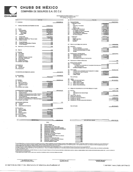 Estados Financieros Ejercicio 2013