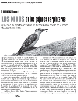 Los Nidos de los Pájaros Carpinteros