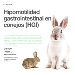 Hipomotilidad gastrointestinal en conejos (HGI)