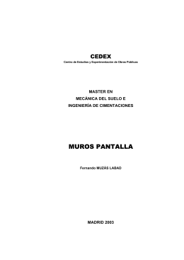 MUROS PANTALLA - Fernando Muzás Labad