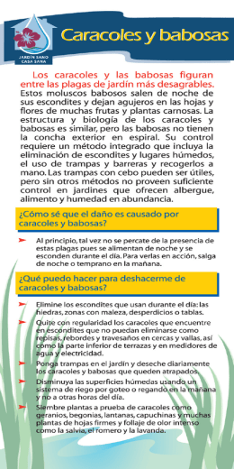 Caracoles y babosas - Project Clean Water