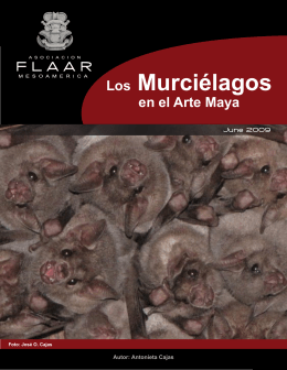 Los Murciélagos en el Arte Maya - Wide-format