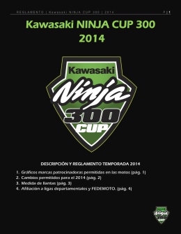 Kawasaki NINJA CUP 300 2014