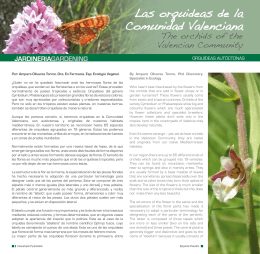 Las orquideas de la Comunidad Valenciana