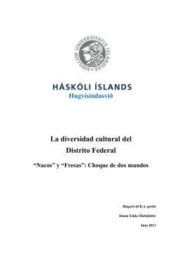 Hugvísindasvið La Diversidad Cultural Del Distrito Federal