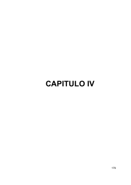 372.6-A118p-CAPITULO IV