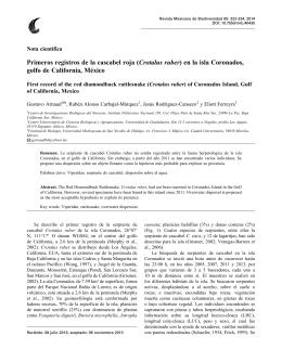 Primeros registros de la cascabel roja (Crotalus ruber) en la isla