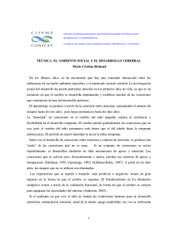 Técnica, ambiente social y el desarrollo cerebral