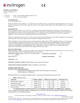 Anticuerpo (*) de conejo - Thermo Fisher Scientific