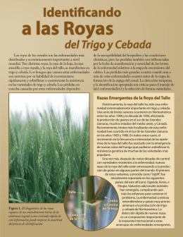 La roya del tallo - KSRE Bookstore