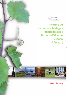 Análisis Visitantes a Bodegas de las Rutas del Vino de España 2013