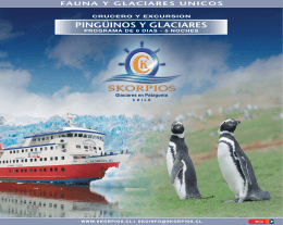 Pinguinos y Glaciar#55B75B.FH11