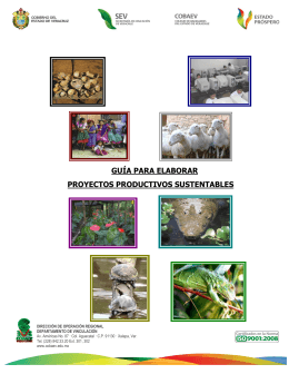 guía para elaborar proyectos productivos sustentables
