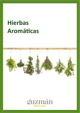 catalogo hierbas aromaticas