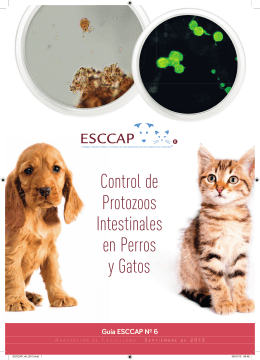 Control de Protozoos Intestinales en Perros y Gatos