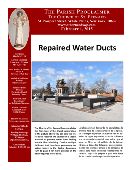 Repaired Water Ducts - St. Bernards White Plains