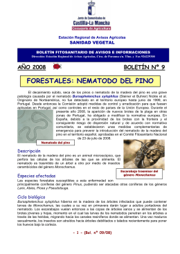 forestales: nematodo del pino - Junta de Comunidades de Castilla
