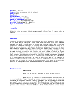 STS 2013.pornografia.diferencia tenencia distribucion