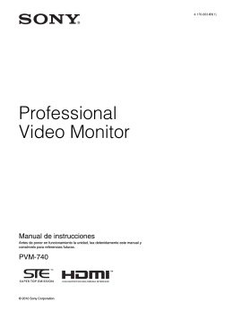Professional Video Monitor