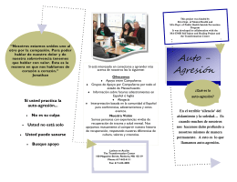 Auto - Agresi&oacute;n