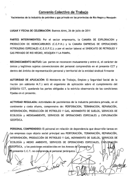 MT Acta 26 07 11 CEPH CEOPE SPyGP RN NQN y LP ANEXO CCT