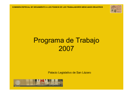 Programa de Trabajo 2007